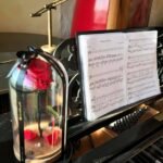 Mieganti rožė po gaubtu - didelė