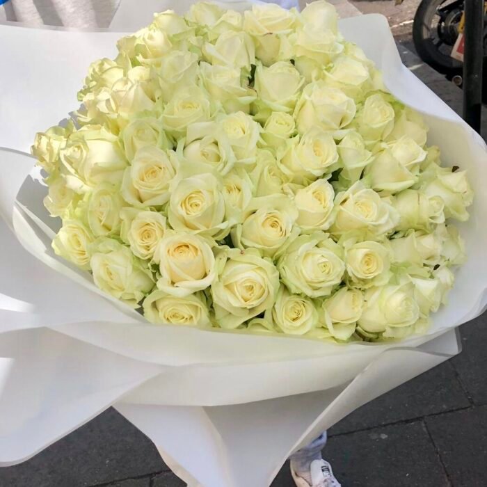 Karališka baltų rožių puokštė, 100 vienetų
