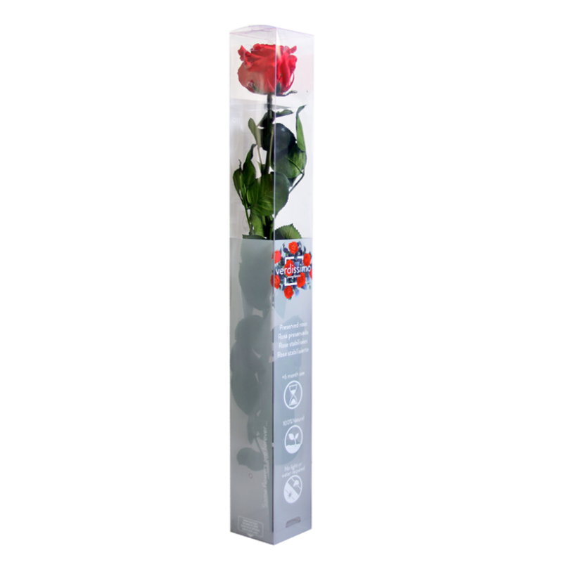Stabilizuota rožė Verdissimo - Premium