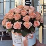 Gėlių dėžutė persikas