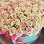 Gėlių dėžutė "Persikėlis"