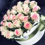 Gėlių dėžutė "Rožių klasika"