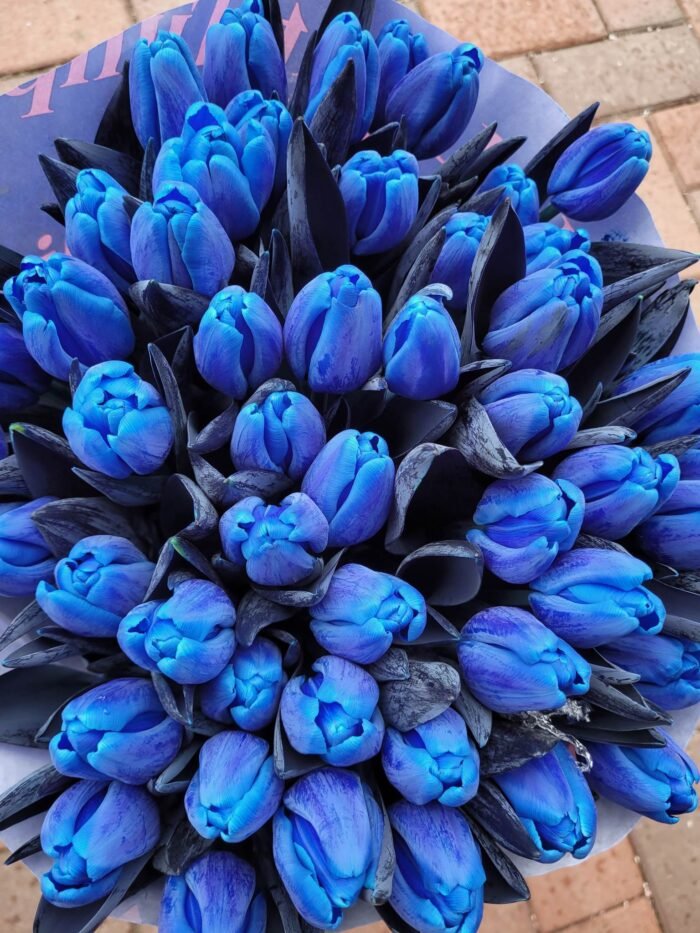 Mėlynos tulpės