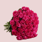 Avietinės rožės - ilgos ekvadorinės