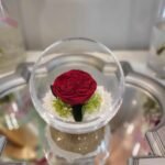 Mieganti rože stikliniame inde - Modern