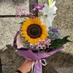 Puokste saules spindulys