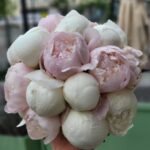 Puokštė „Rožinė Delina“