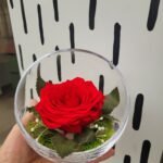 Stiklinės kompozicijos su stabilizuota miegančia rože