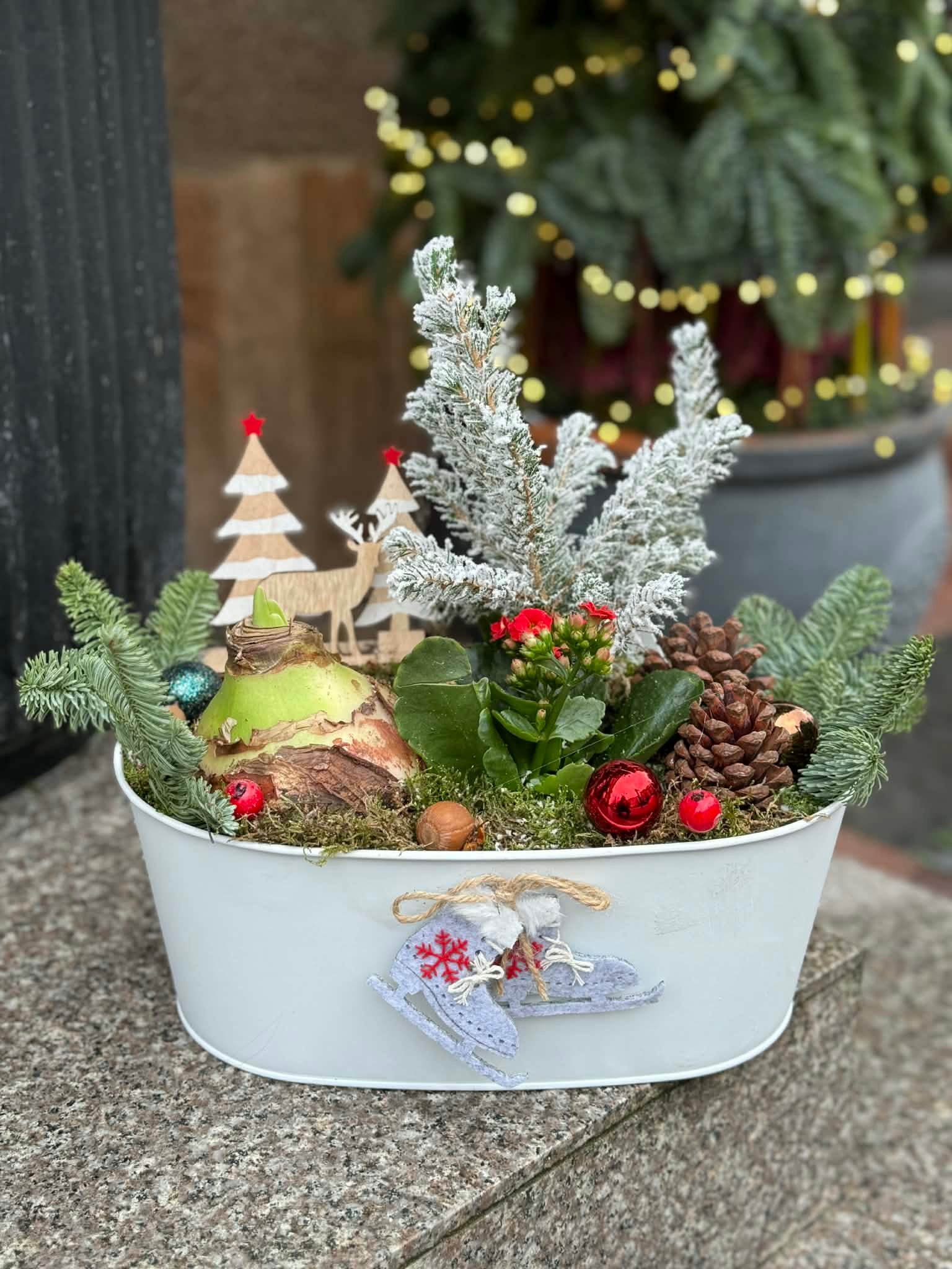 62de146c-cda8-4835-926f-b296816cb8e8 Šerkšno akimirka