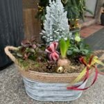 Gyvų gėlių kompozicija „Žiemos sodas“