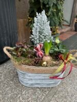 Gyvų gėlių kompozicija „Žiemos sodas“