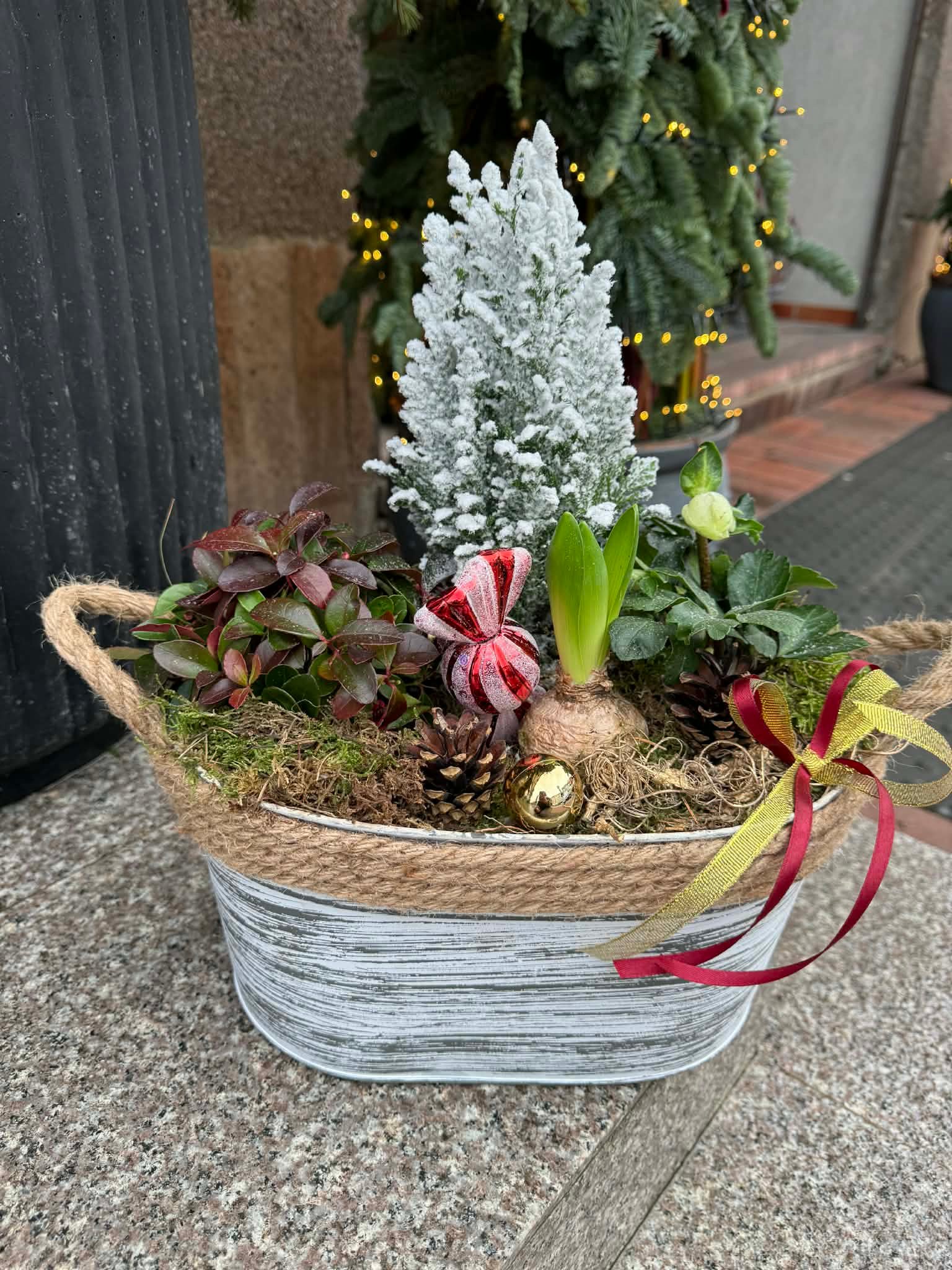 81d48a1d-1f06-4bfc-a26d-1adb0c040c30 (1) Gyvų gėlių kompozicija „Žiemos sodas“ - Image 1