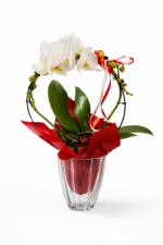 Kompozicija - Orchidėjos šokis - raudona - Image 2