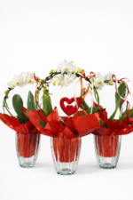 Kompozicija - Orchidėjos šokis - raudona