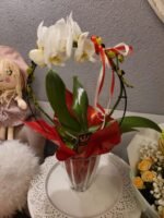 Kompozicija - Orchidėjos šokis - raudona - Image 3