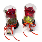 Dekoratyvinė rožė po stikliniu gaubtu su lemputėm