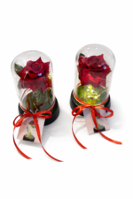 Dekoratyvinė rožė po stikliniu gaubtu su lemputėm