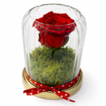 Dekoratyvinės rožės kompozicija „Amžina Meilė“