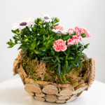 Vazoninių gėlių kompozicija „Natūralus žavesys“
