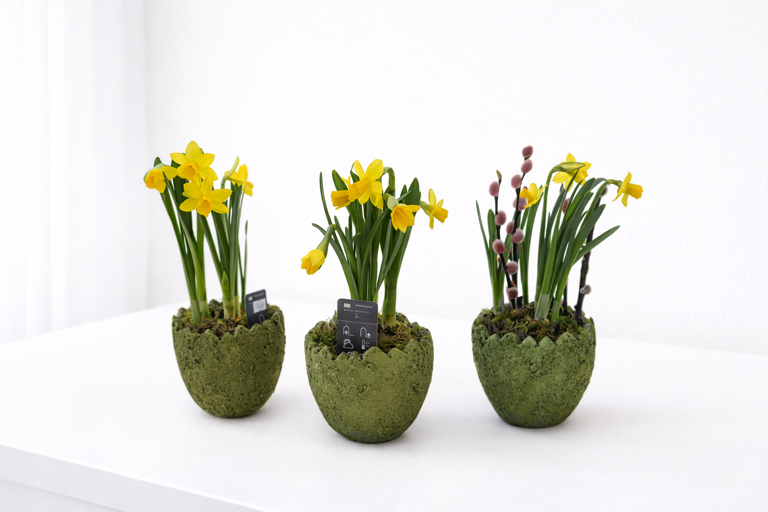 ChatGPT Image Apr 2, 2026, 12_09_47 AM Gėlių kompozicija „Pavasario saulė“ - Image 1