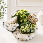 Vazoninių gėlių kompozicija „Paukštelių svaja“