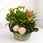 Vazoninių gėlių kompozicija „Saulėta nuotaika“